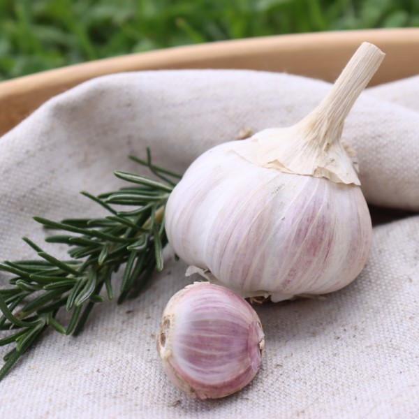 Creole Garlic